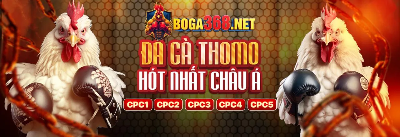 Đá Gà Trực Tuyến Hàng Đầu nohu77